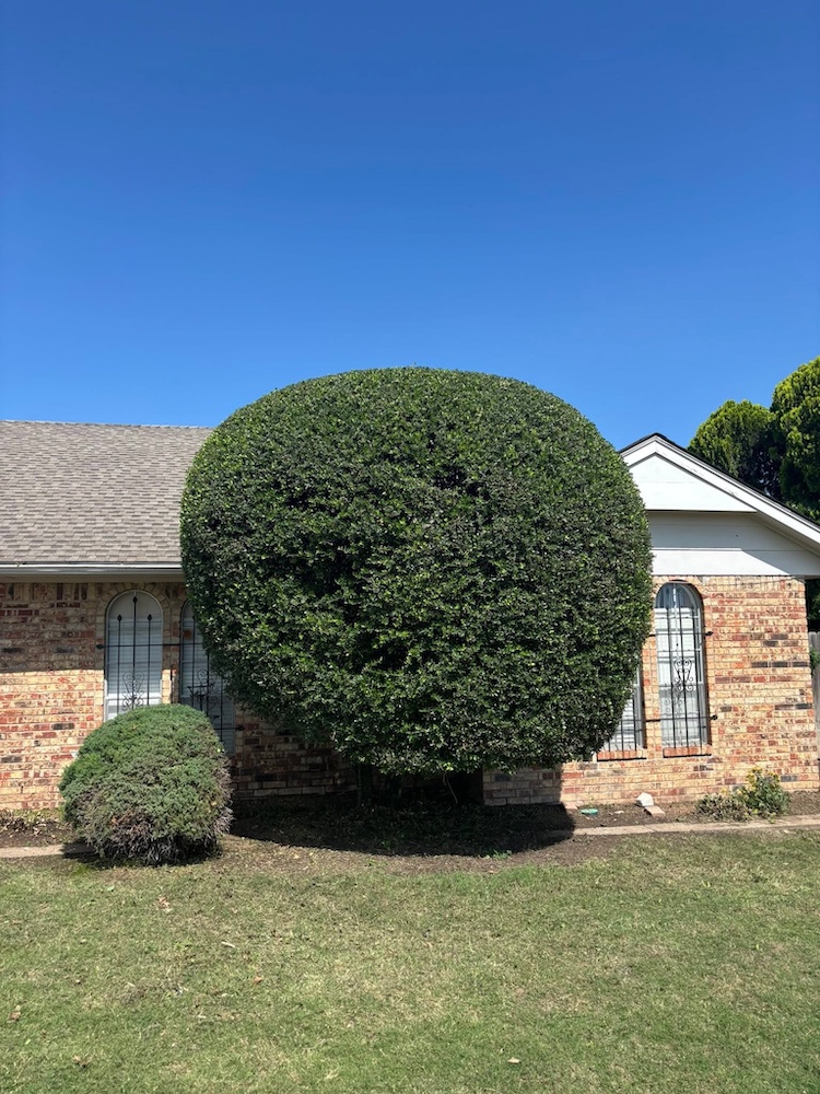 Complete landscaping project by Eagle Eye Landscaping in Oklahoma