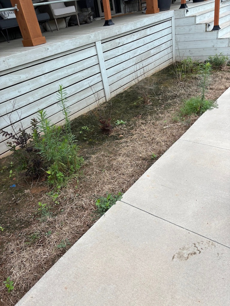 Before — Weeds growing along a sidewalk beside a covered porch