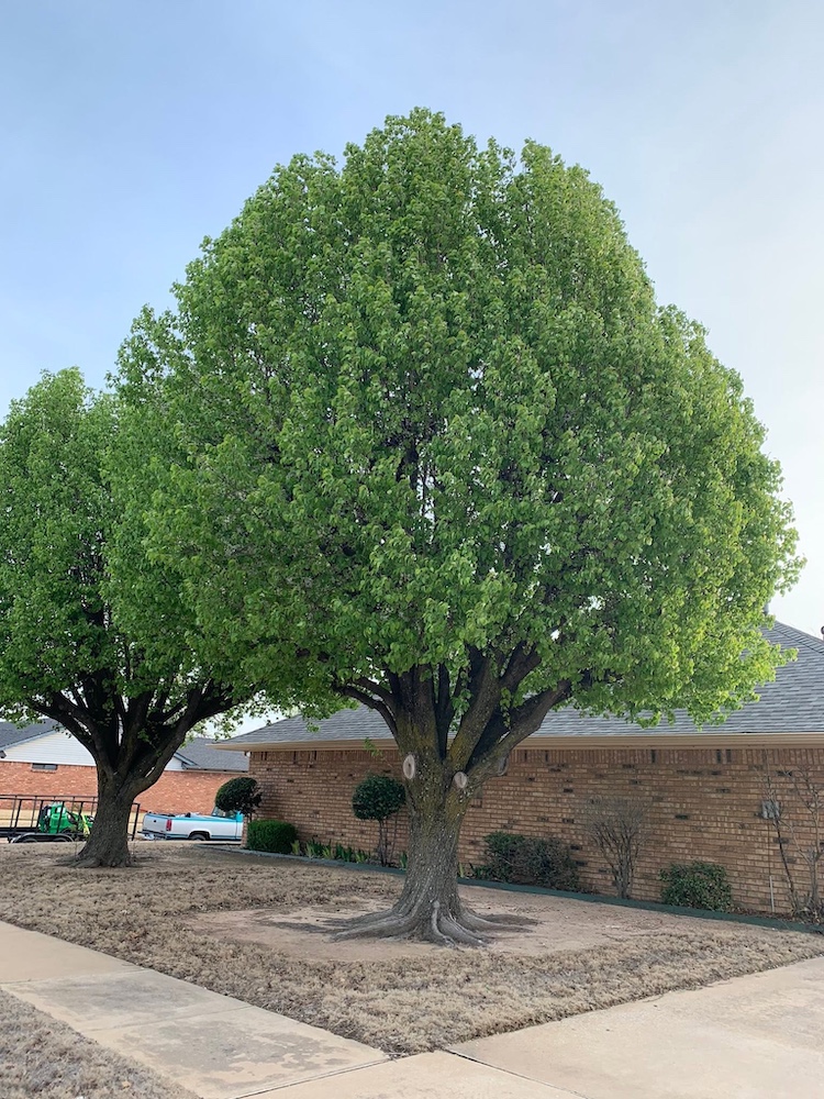 Full property cleanup project in Grady County, OK