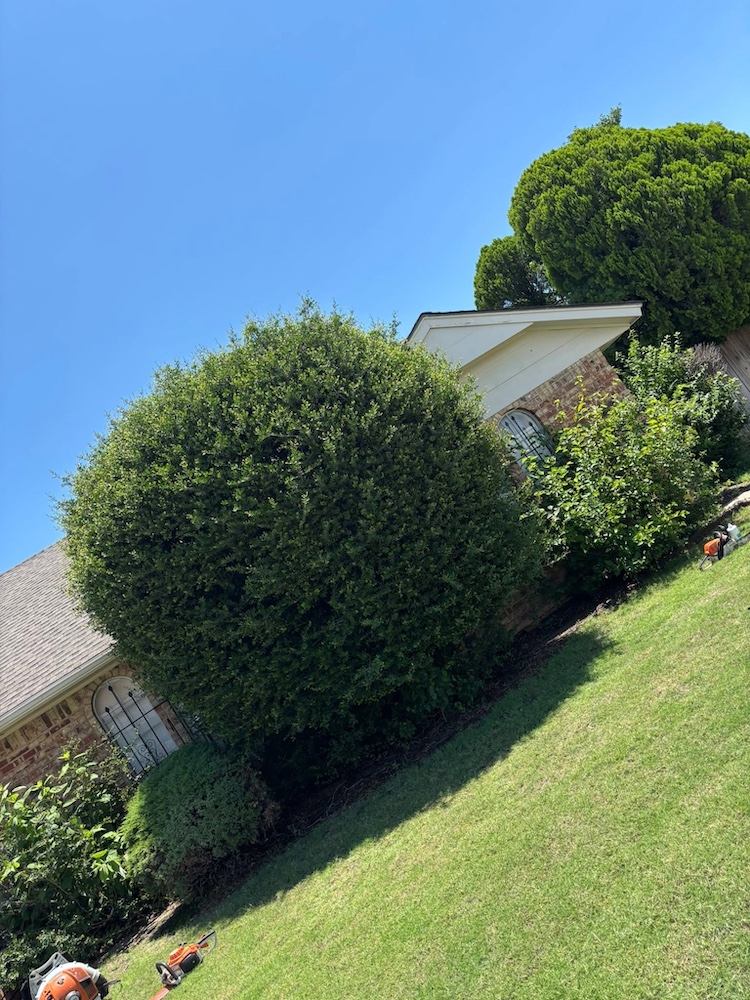 Property cleanup and landscaping prep in Newcastle, Oklahoma