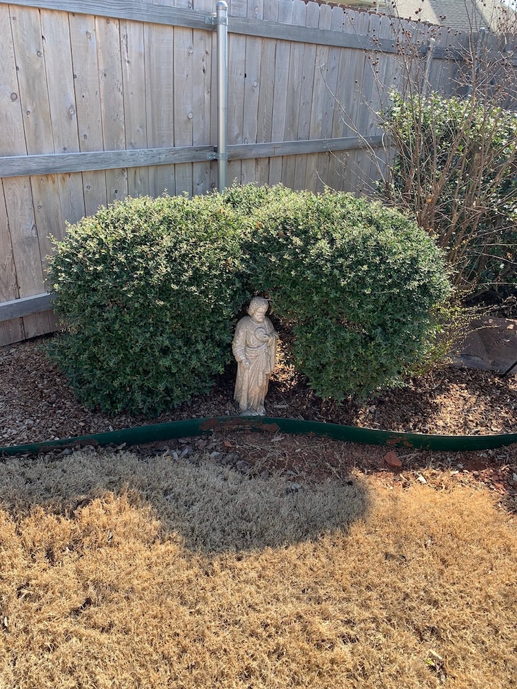 Before — Overgrown shrubs crowding a mulched foundation bed